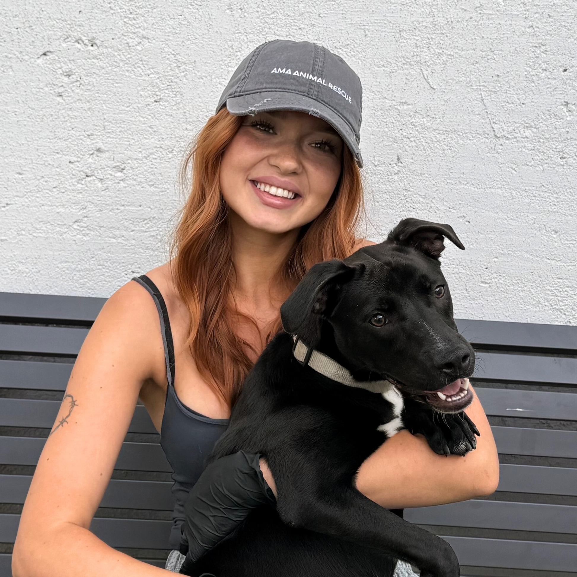 AMA Unisex Logo Gray Distressed Cap