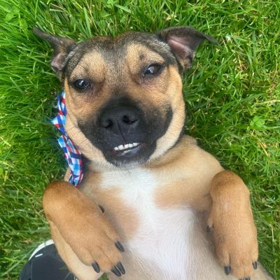 AMA General Donations