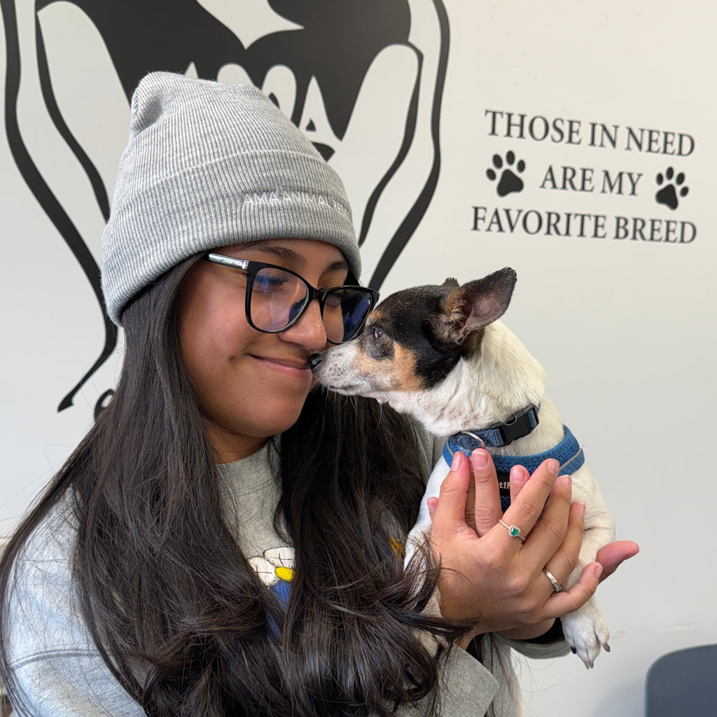 Person wearing a gray beanie with AMA Animal rescue on the front