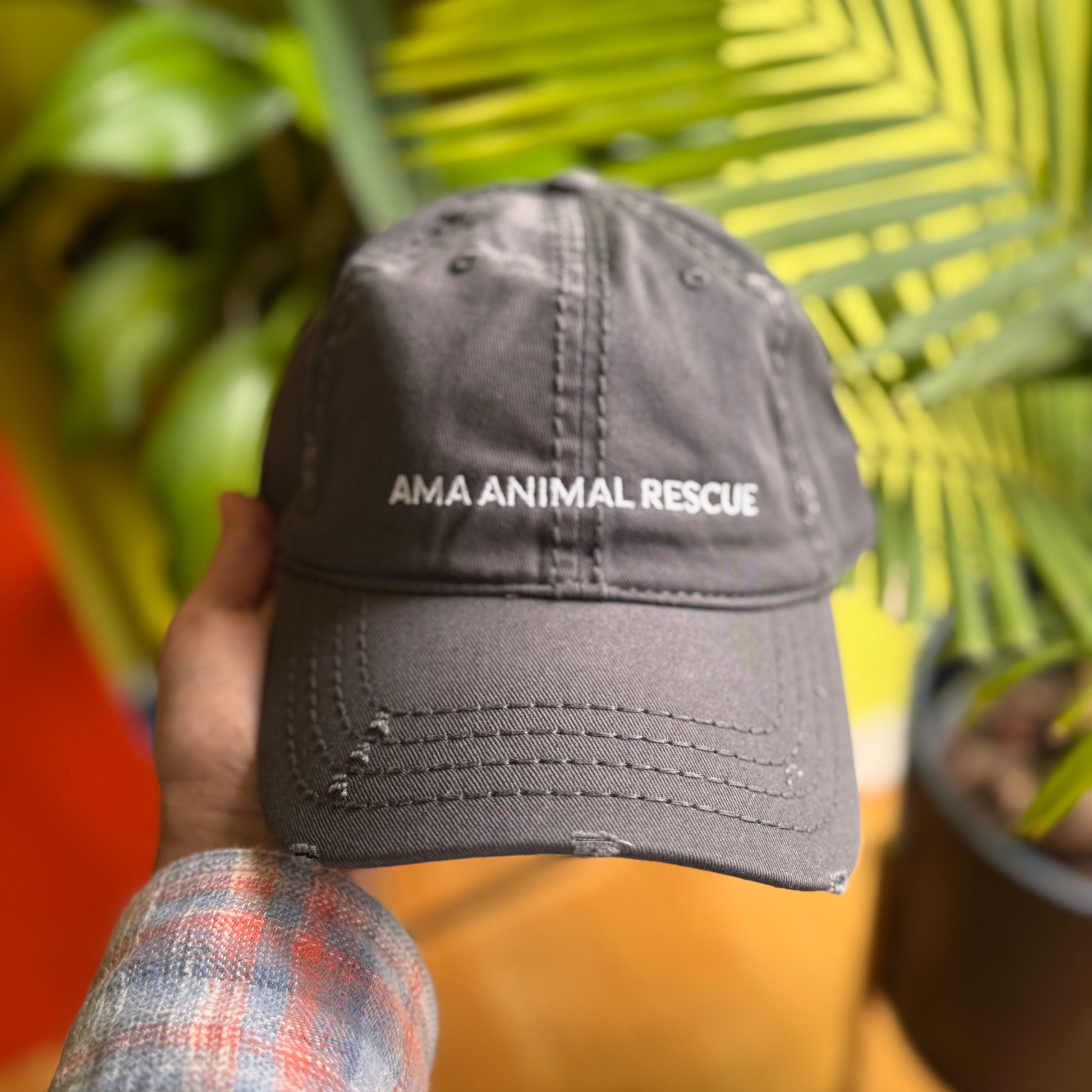 AMA Unisex Logo Gray Distressed Cap
