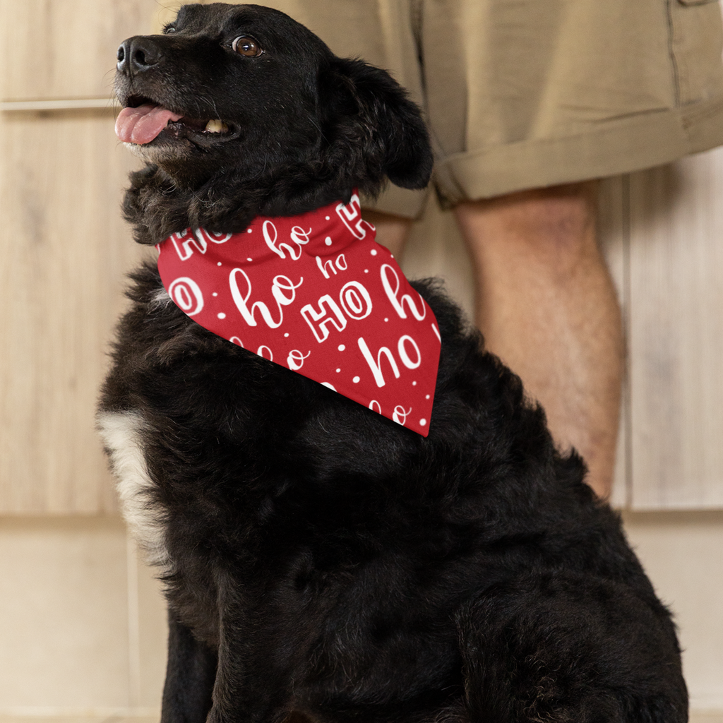 AMA Red Holiday Dog Bandana + Collar