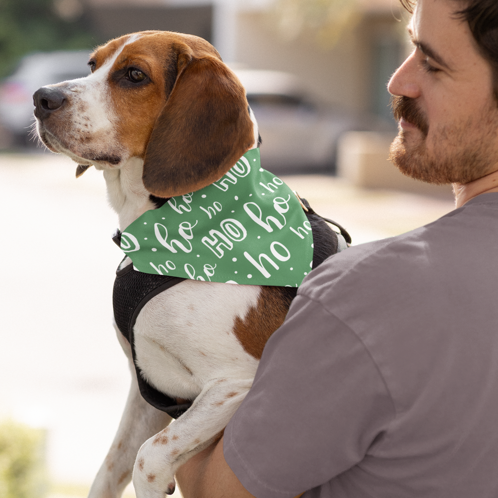 AMA Green Holiday Dog Bandana + Collar
