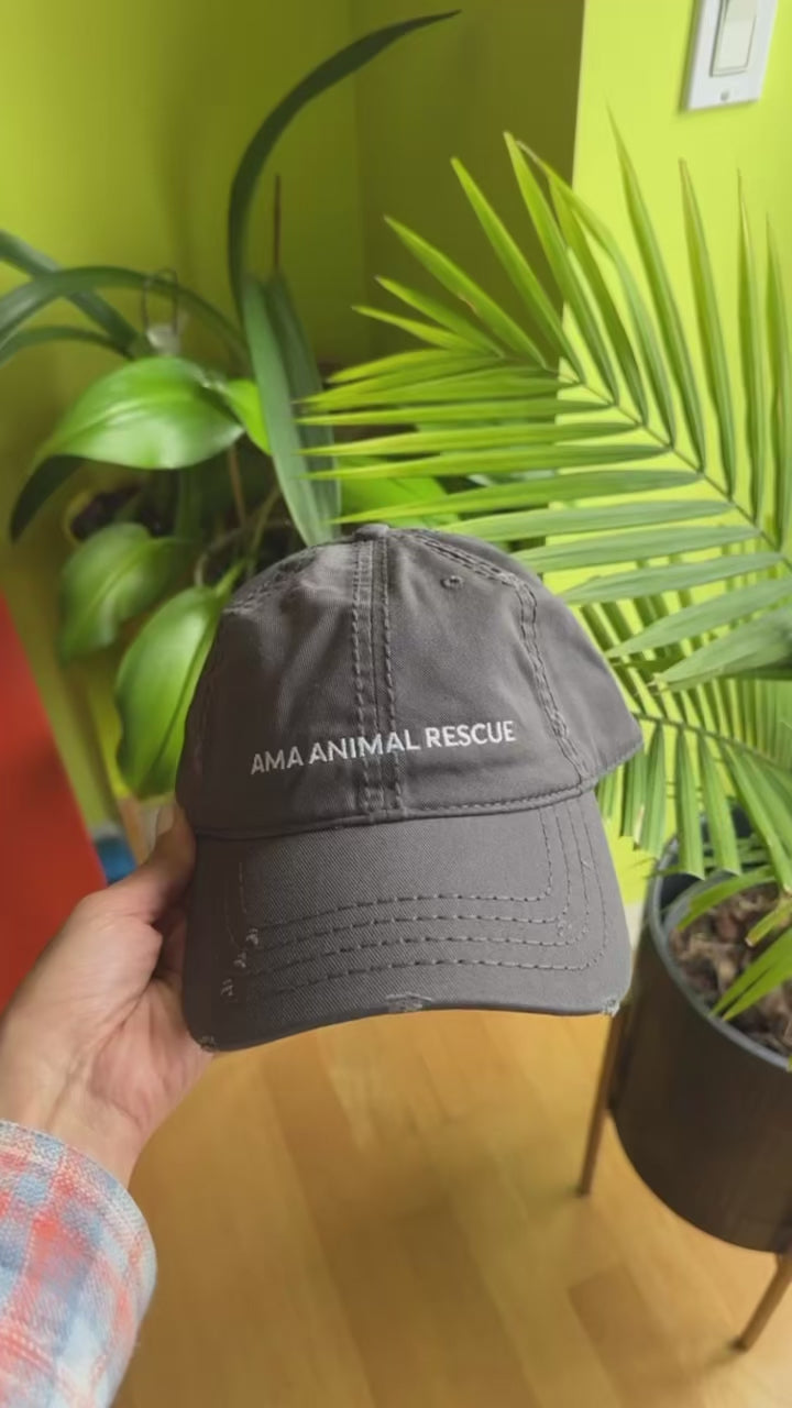 AMA Unisex Logo Gray Distressed Cap